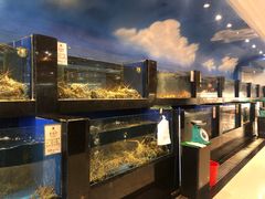 -鹏天阁酒楼·海鲜(红旗店)