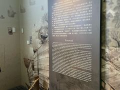 -镇江博物馆