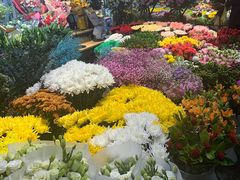 -双季花艺园艺市场(浦东店)