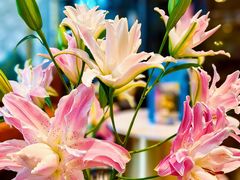 -德米火锅(深圳湾1号旗舰店)