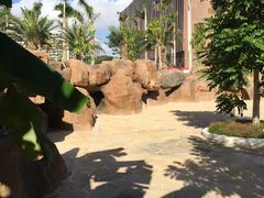 -亚马逊丛林水乐园