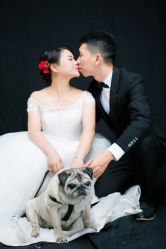-菲林婚纱摄影工作室