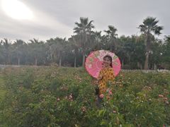 -亚龙湾国际玫瑰谷