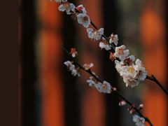 -静安雕塑公园