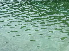 -武陵山森林公园