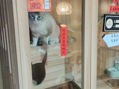 -白兔子密室(长寿路店)