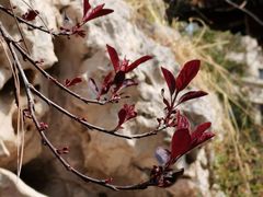 -李叔同故居纪念馆