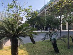 -小象钓虾·营地烧烤(洛溪店)