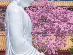 -天竺岩寺