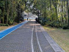 -苏州河梦清园环保主题公园