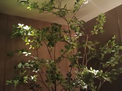 -大逸传奇·足道SPA(天美店)