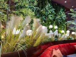 -花隐·美芙炫海菲秀皮肤管理中心