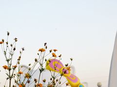 -北京东方普罗旺斯薰衣草庄园