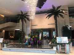 -常州环球恐龙城维景国际大酒店