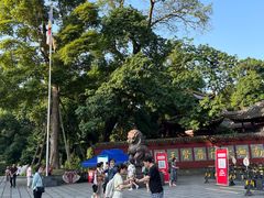 -峨眉山报国寺