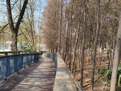 -月湖风景区