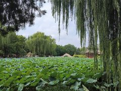 -莲池书院博物馆