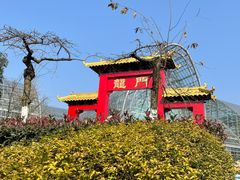 -南山植物园