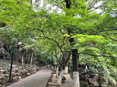 -虞山风景区