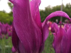 -长春公园(普阳街道)