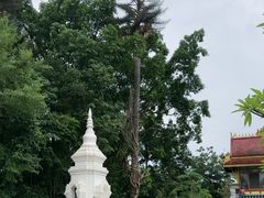 -西双版纳总佛寺