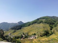 -紫鹊界梯田景区