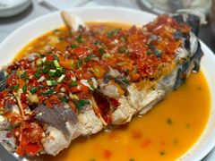 -全乐鱼馆·淳牌有机鱼直营店