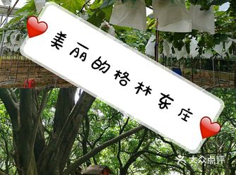 这个四月阳光正好，微风不燥，是个遛娃的好时节