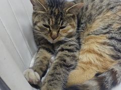 -老周炒拨拉(甘州总店)