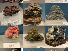 -贵州省地质博物馆
