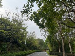 -广州都喜泰丽温泉度假酒店