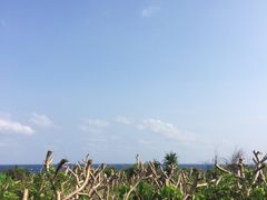 -龙坑生态保护区