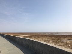 -南汇嘴观海公园
