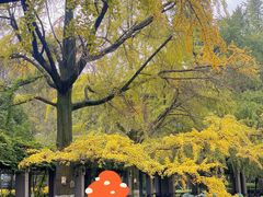 -四川大学(华西校区)