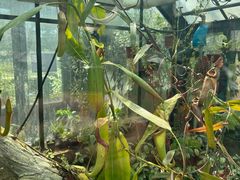 -国家植物园南园