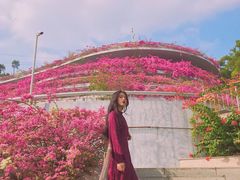 -深圳仙湖植物园-停车场