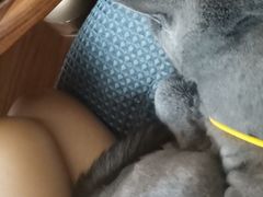-创凡宠物医院·骨专科  猫科中心(西乡分院)
