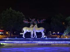 -鹭江潮餐厅•福建菜(鹭江佲家酒店)