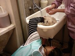 -犬也宠物造型(恒茂国际都会商业街店)