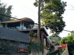 -竹野·上|老字号全竹宴