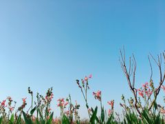 -漩门湾国家湿地公园