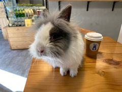 -小意思咖啡店(草桥店)