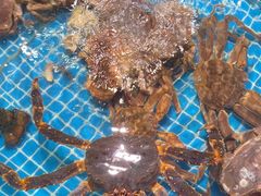 -巧克力渔家.小船海鲜胶东菜(万平口店)