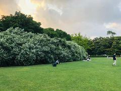 -御花园·粤菜·海鲜火锅(中山公园店)
