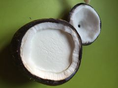 吃货椰子冻-志龙皇冠吃货椰子铺