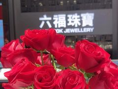 -北国商城