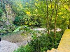 -关门山森林公园