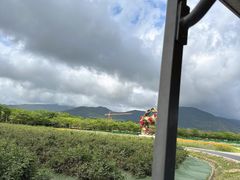 -亚龙湾国际玫瑰谷