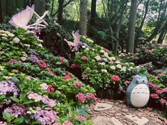 -上海滨江森林公园