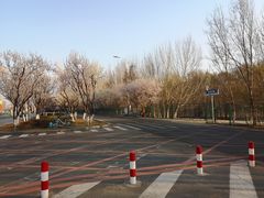 -长白岛森林公园